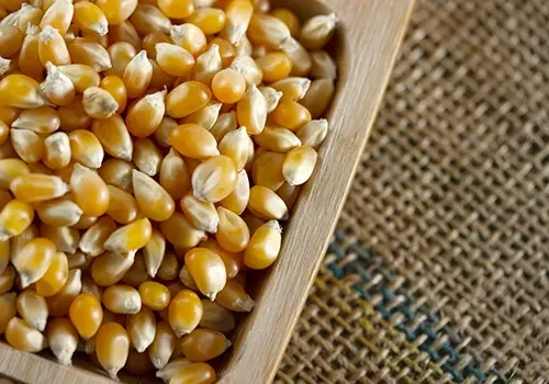 Corn_Covex
