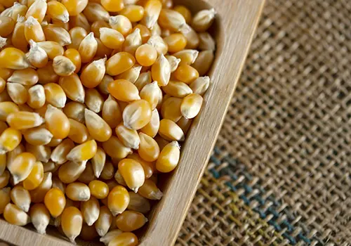 Corn_Covex