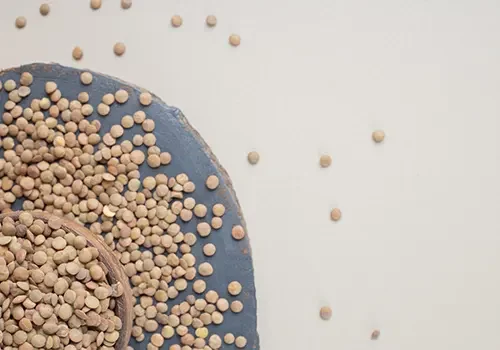Lentils_Covex