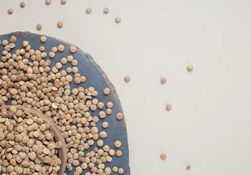 Lentils_Covex